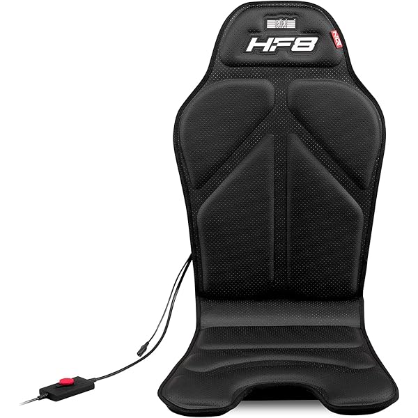 Amazon.com: Next Level Racing Floor Mat (NLR-A005)